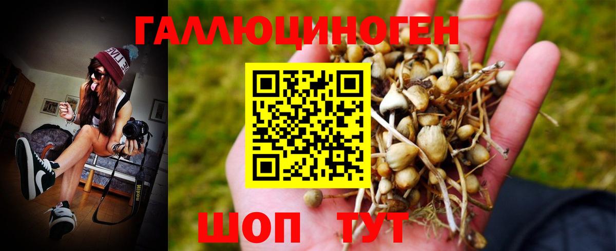 Псилоцибиновые грибы Magic Shrooms  Вход с VPN  Псилоцибиновые грибы мухоморы  Ишим 